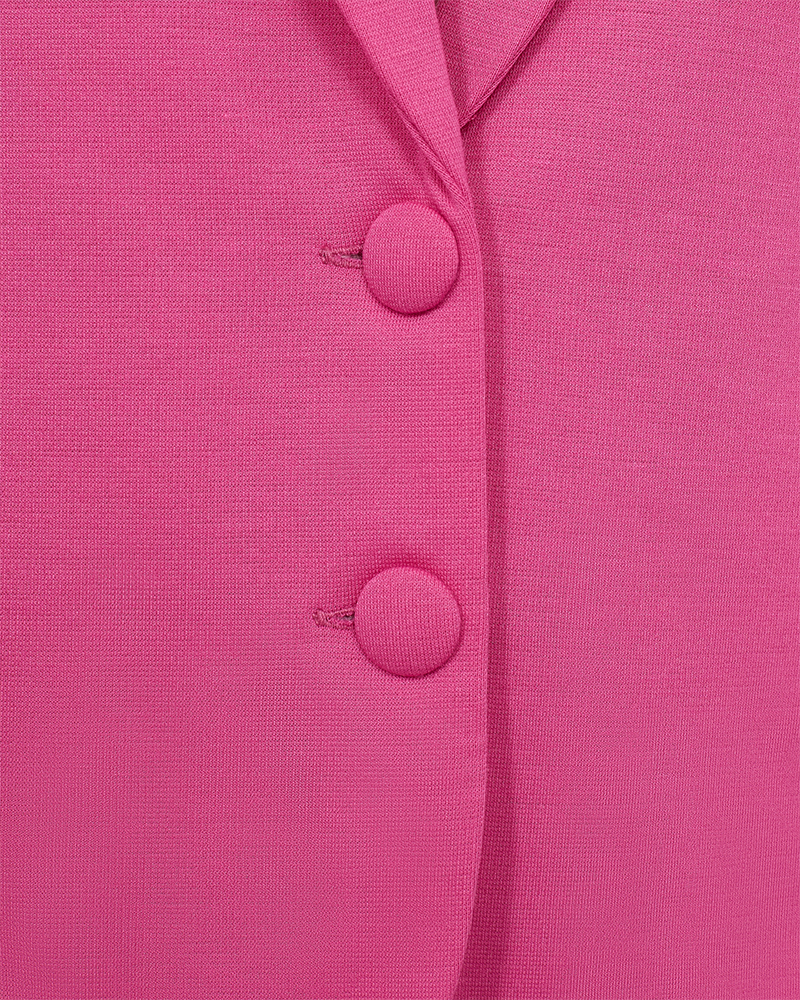 FQNANNI - FIGURBETONTER BLAZER - ROSA