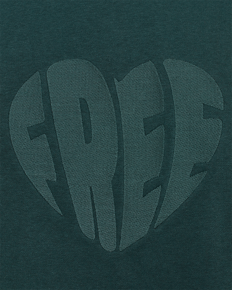 FQCOZY - SWEATSHIRT - GRUN