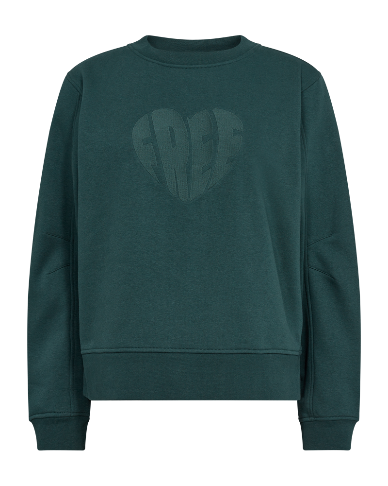 FQCOZY - SWEATSHIRT - GRUN